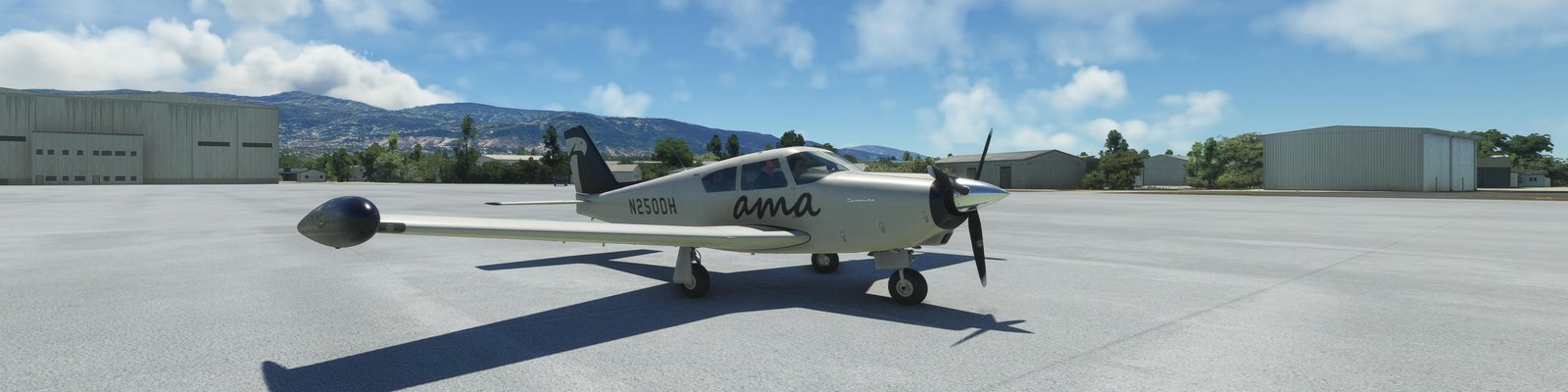 Piper Cherokee in the Andras Meridian 2019 livery